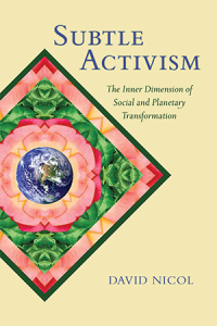 subtle-activism-book-cover